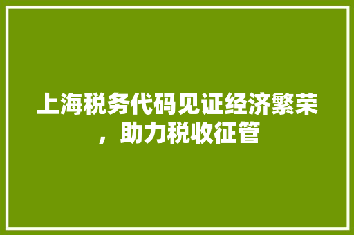 上海税务代码见证经济繁荣，助力税收征管