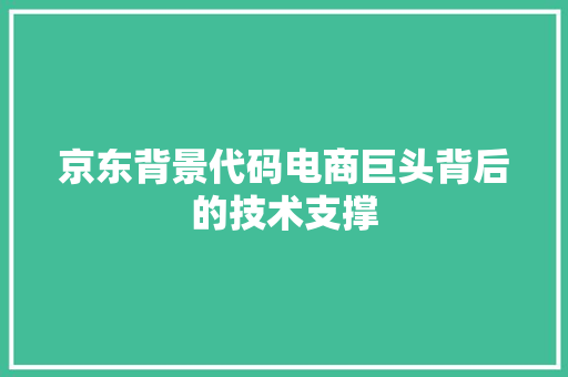 京东背景代码电商巨头背后的技术支撑