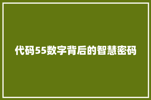代码55数字背后的智慧密码