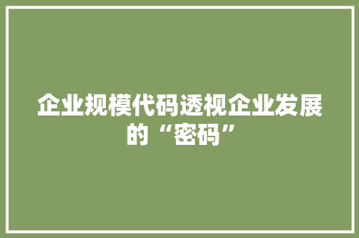 企业规模代码透视企业发展的“密码”