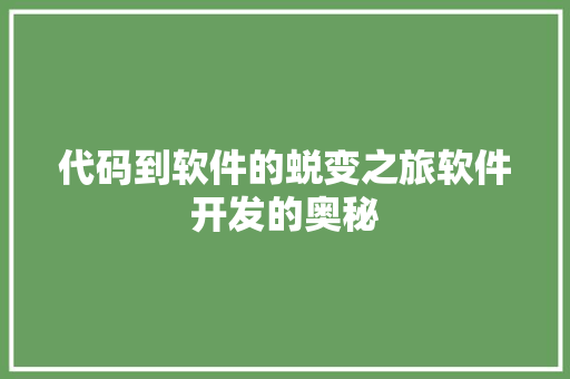 代码到软件的蜕变之旅软件开发的奥秘