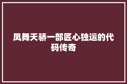 凤舞天骄一部匠心独运的代码传奇