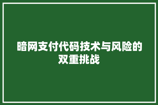 暗网支付代码技术与风险的双重挑战