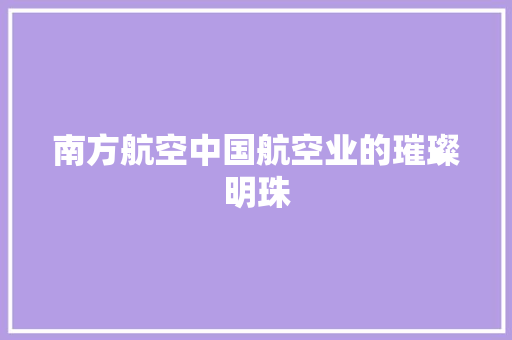 南方航空中国航空业的璀璨明珠