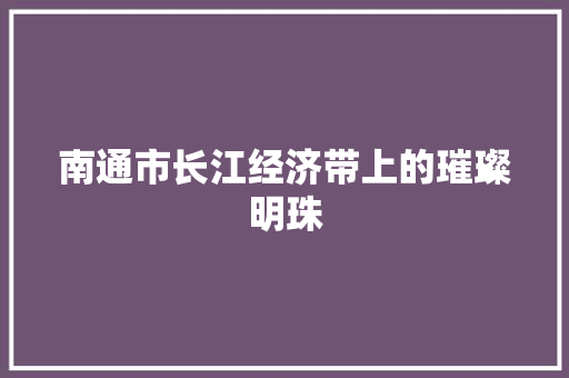 南通市长江经济带上的璀璨明珠