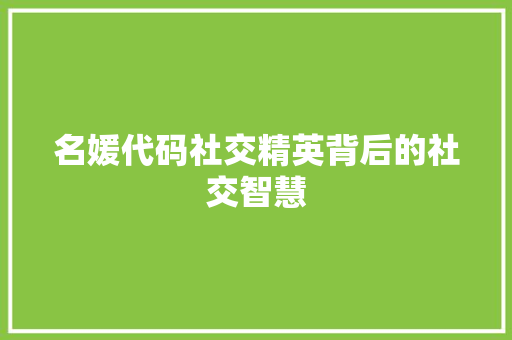 名媛代码社交精英背后的社交智慧