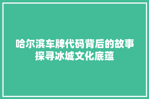 哈尔滨车牌代码背后的故事探寻冰城文化底蕴
