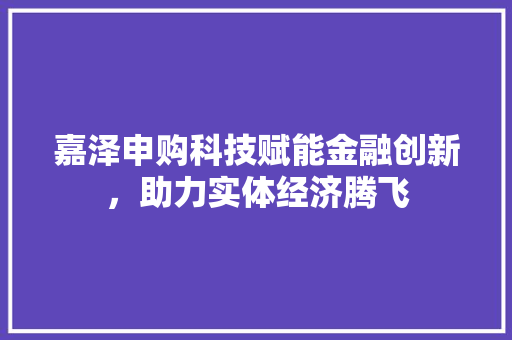 嘉泽申购科技赋能金融创新，助力实体经济腾飞