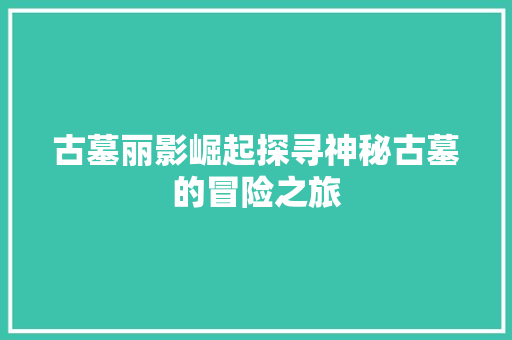 古墓丽影崛起探寻神秘古墓的冒险之旅