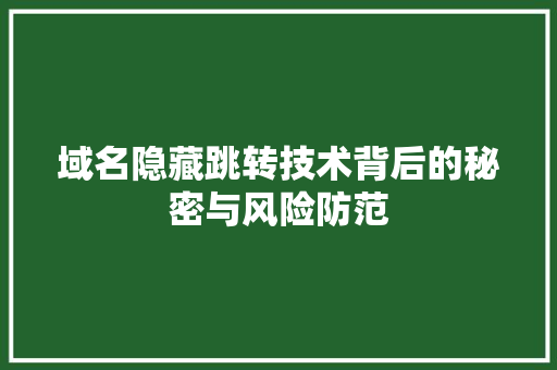域名隐藏跳转技术背后的秘密与风险防范