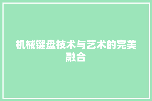 机械键盘技术与艺术的完美融合