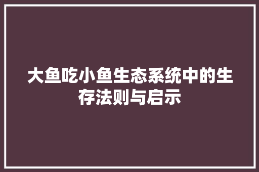 大鱼吃小鱼生态系统中的生存法则与启示