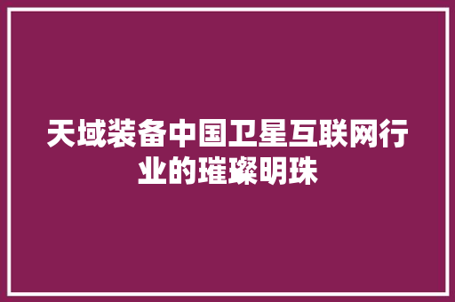 天域装备中国卫星互联网行业的璀璨明珠  第1张