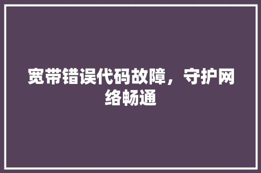 宽带错误代码故障，守护网络畅通