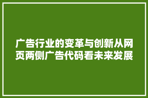 广告行业的变革与创新从网页两侧广告代码看未来发展