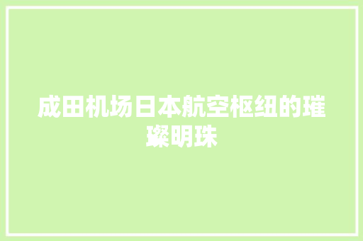 成田机场日本航空枢纽的璀璨明珠