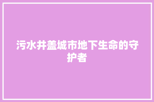 污水井盖城市地下生命的守护者
