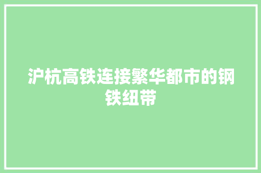 沪杭高铁连接繁华都市的钢铁纽带
