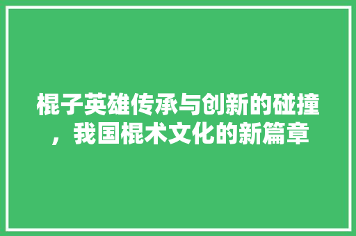 棍子英雄传承与创新的碰撞，我国棍术文化的新篇章