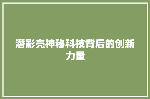 潜影壳神秘科技背后的创新力量