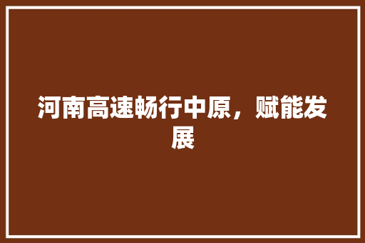 河南高速畅行中原，赋能发展