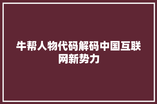 牛帮人物代码解码中国互联网新势力