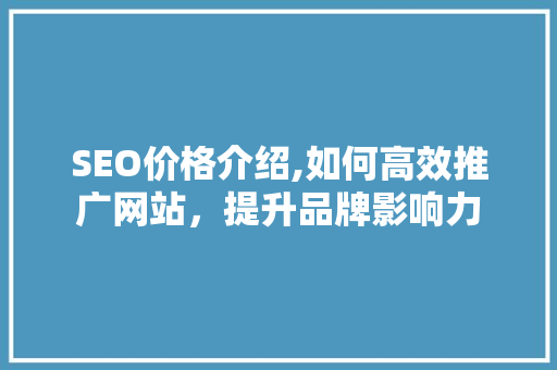 SEO价格介绍,如何高效推广网站，提升品牌影响力