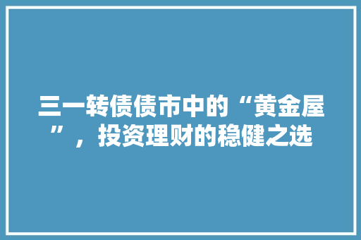 三一转债债市中的“黄金屋”，投资理财的稳健之选
