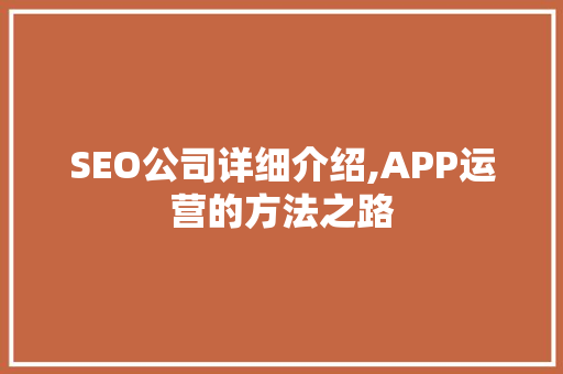 SEO公司详细介绍,APP运营的方法之路